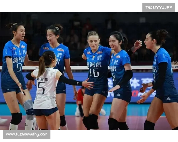 2015 女排 赛事2015女排阵容